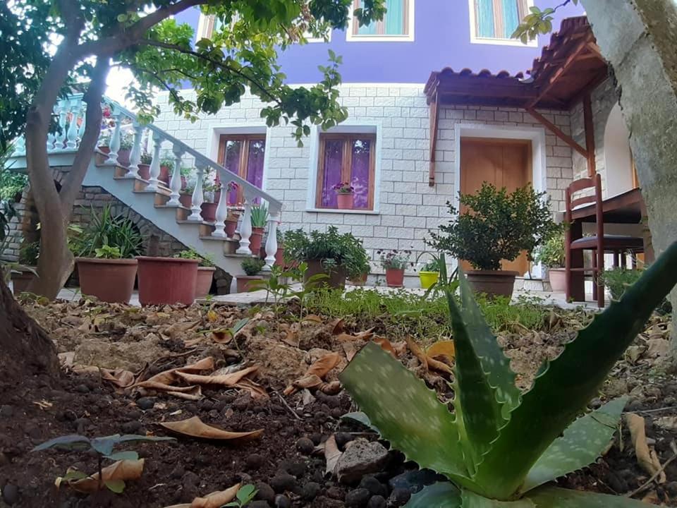 Guesthouse Hlias Gloria 培拉特 外观 照片