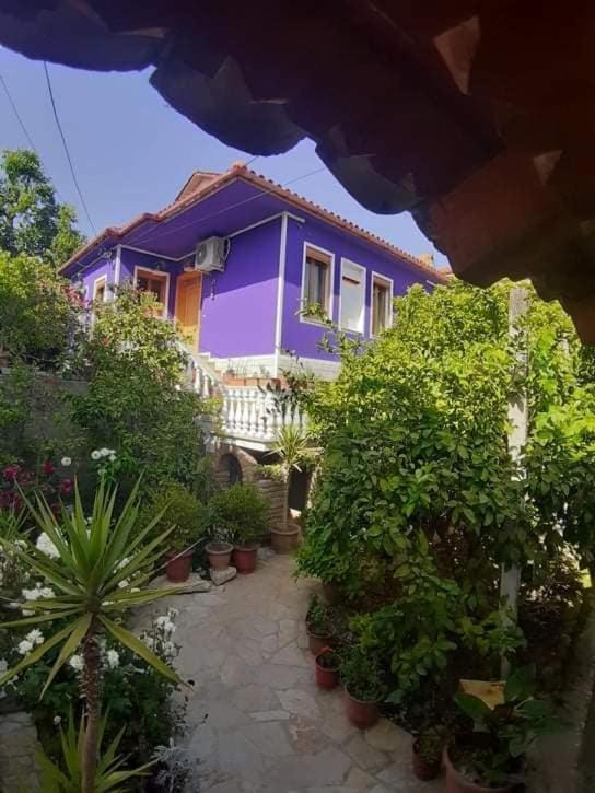 Guesthouse Hlias Gloria 培拉特 外观 照片