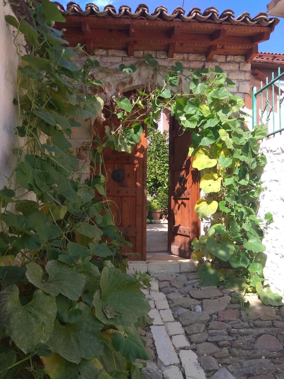 Guesthouse Hlias Gloria 培拉特 外观 照片